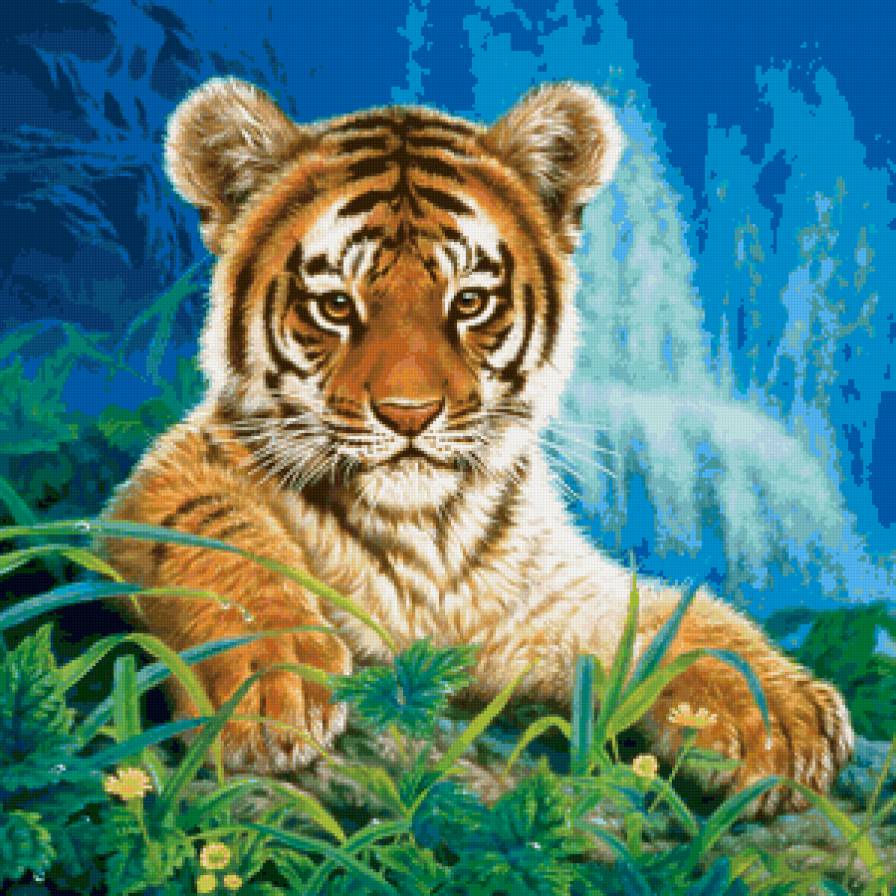 Тигренок - тигр, животные, хищник, тигренок - предпросмотр