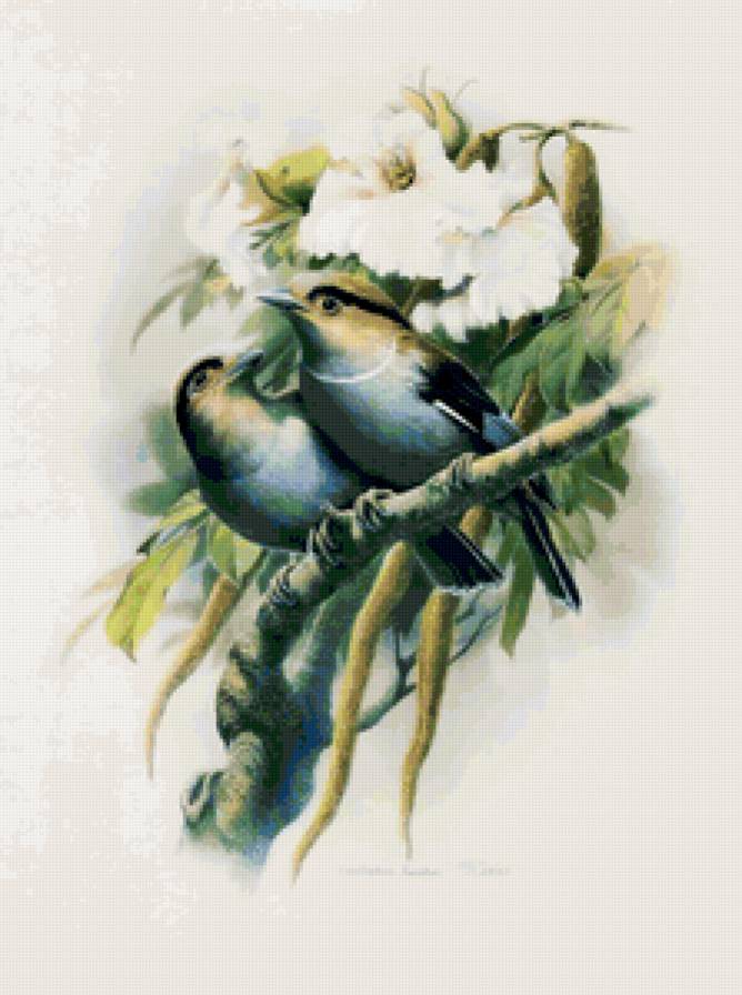 Серия ПТИЦЫ - птица, цветы, природа - предпросмотр