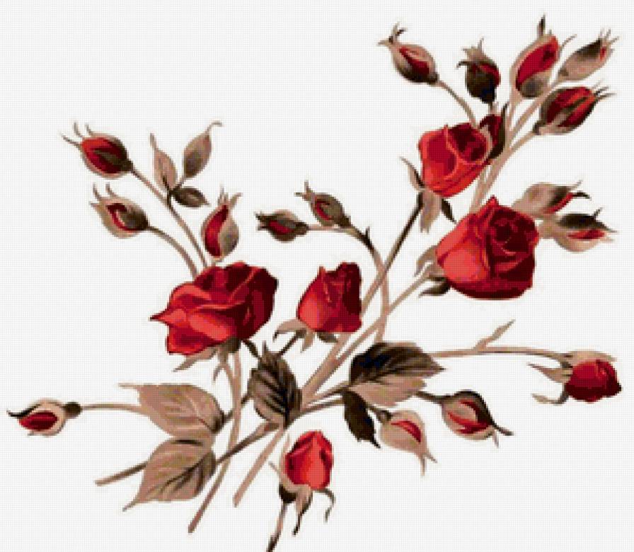 Розы - подушка, рисунок, цветы - предпросмотр
