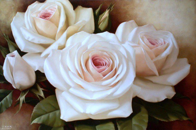 белые розы - розы, цветы - оригинал