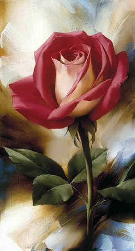 роза красная - цветы, розы - оригинал