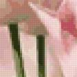 Предпросмотр схемы вышивки «розовые тюльпаны» (№74512)