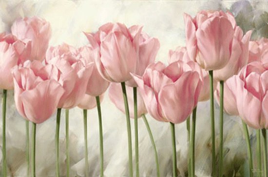 розовые тюльпаны - цветы, картина, тюльпаны - оригинал