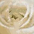 Предпросмотр схемы вышивки «букет белых роз» (№74518)