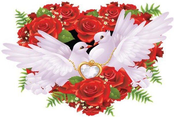 Сердце из роз - голуби, сердце, любовь, роза, цветы - оригинал