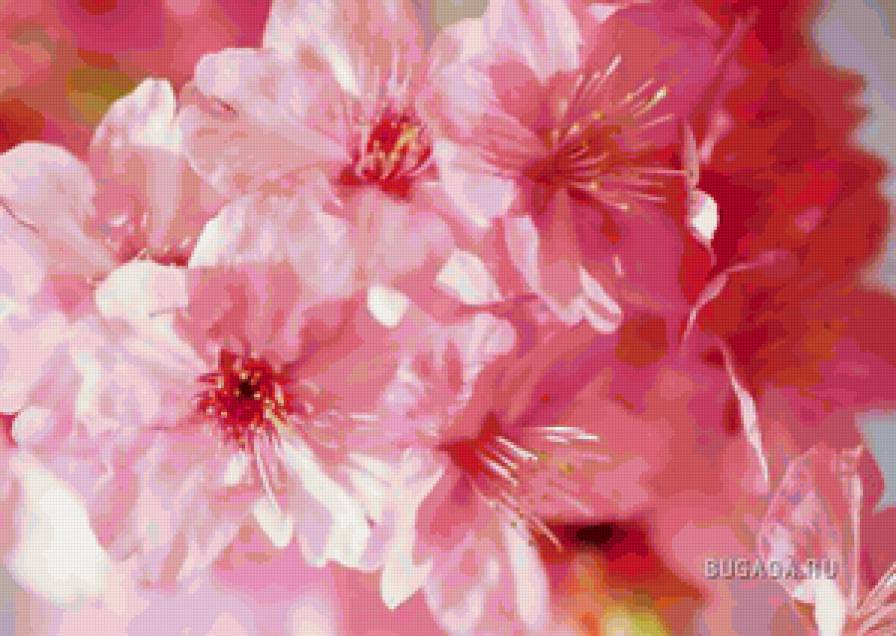 весенние цветы - весна, цветы, природа - предпросмотр