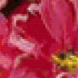Предпросмотр схемы вышивки «Подушка с красными цветами» (№75023)