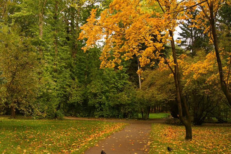 Осенний парк - осень, пейзаж, природа - оригинал