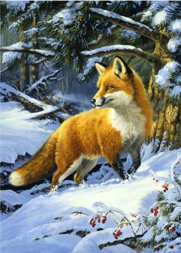 Лиса на снегу - лиса, животные, снег, зима, лес - оригинал