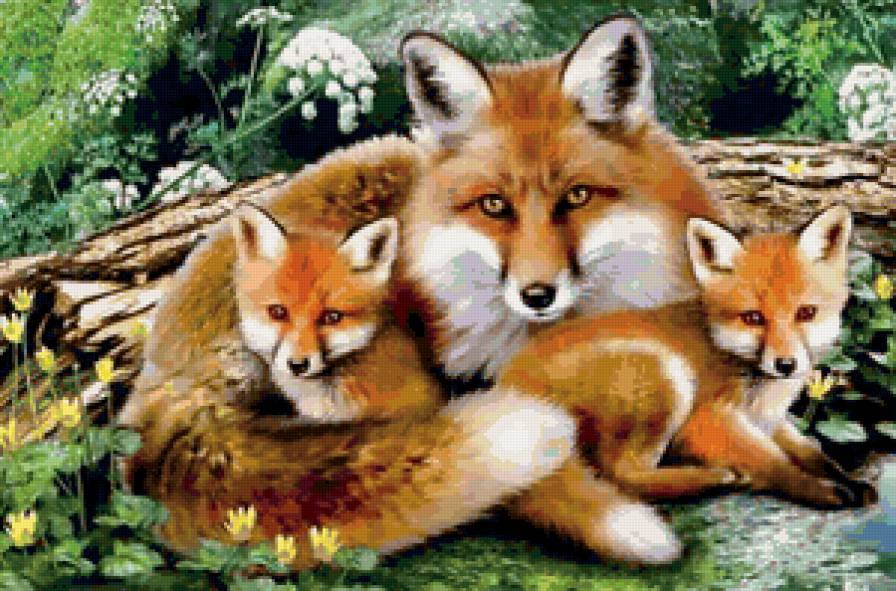 Лисичка и малыши - животные, лиса, лисенок - предпросмотр