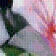 Предпросмотр схемы вышивки «Нежные розы» (№75300)