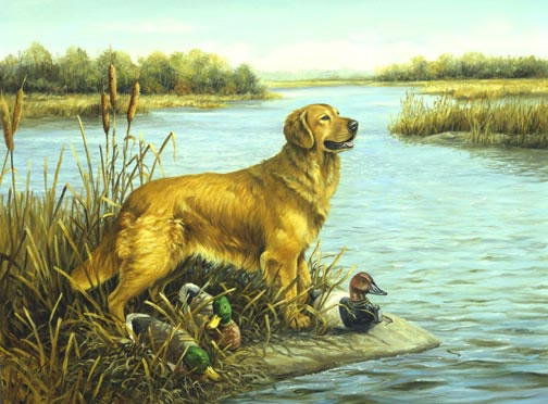 Красавец - охота, собака, река, утка - оригинал