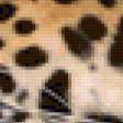 Предпросмотр схемы вышивки «Очень красивый леопард))» (№75455)