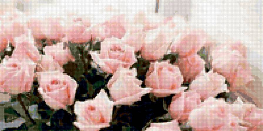 Розовые розы - розы, цветы - предпросмотр