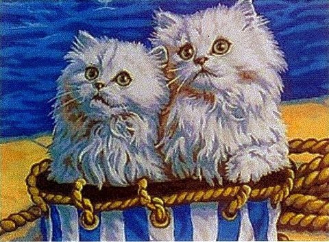 Котята-курортники - животные, котенок, кошка - оригинал