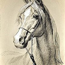 Оригинал схемы вышивки «Белый конь» (№76118)