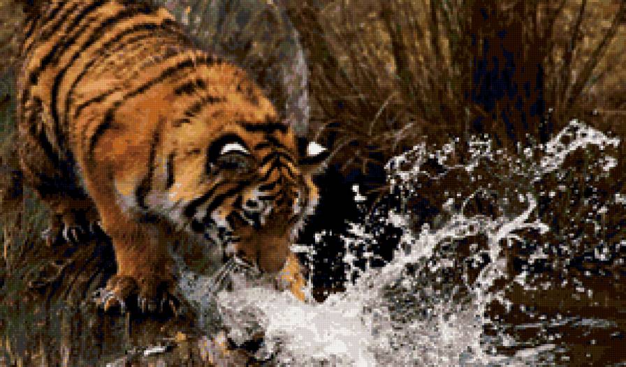 тигр - природа, животные, тигр - предпросмотр