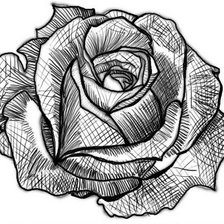Схема вышивки «роза»