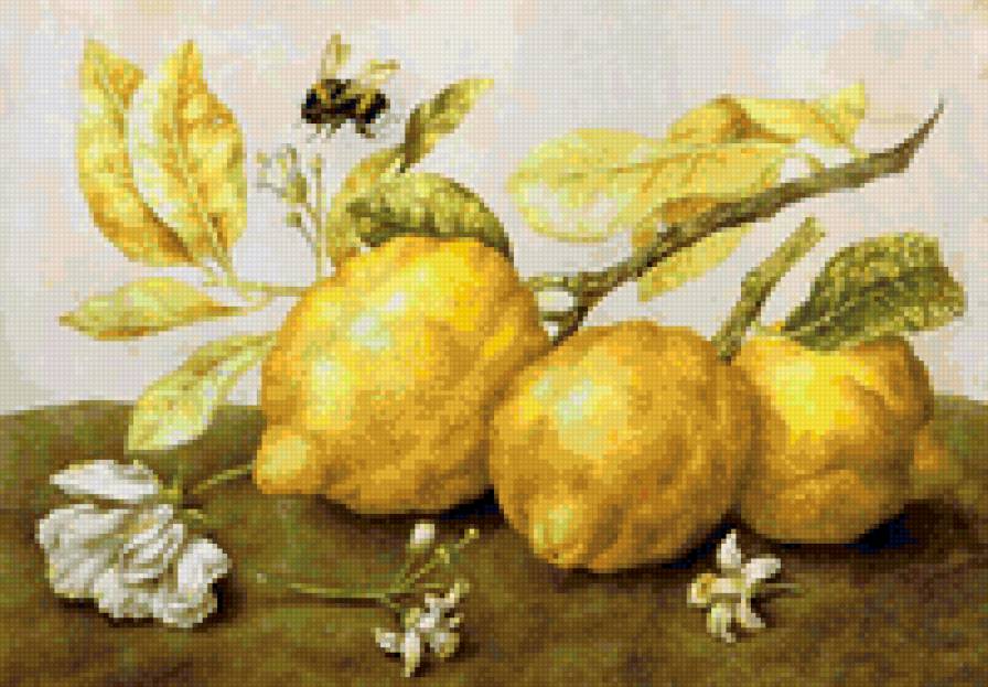 лимончики - фрукты - предпросмотр