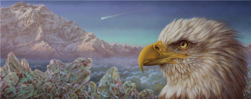 орел - хищники, птицы, природа, картина - оригинал