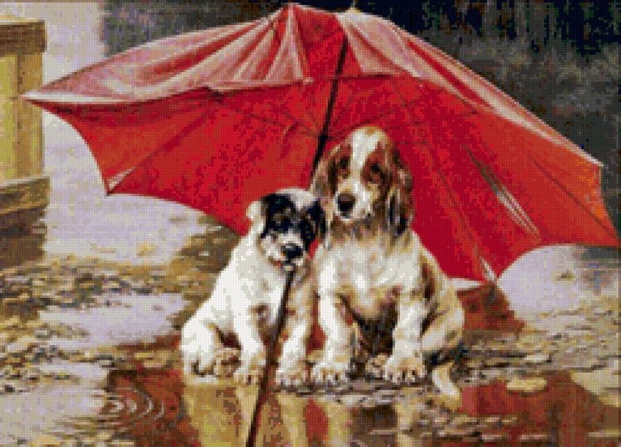 Собаки под зонтом. - друзья, двое, зонт, дождь, собака - предпросмотр