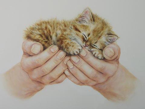 Нежность - кошки, животные, руки, живопись, нежность, котенок, картина - оригинал