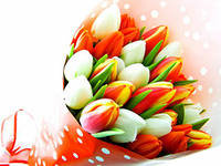 букет тюльпанов - тюльпаны, цветы - оригинал