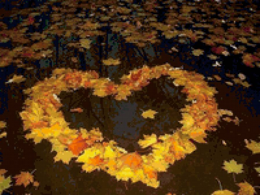 сердце - любовь, осень, сердце - предпросмотр