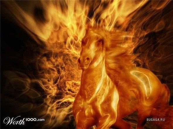 огненый конь - огонь - оригинал