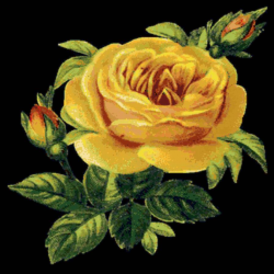 желтая роза - подушка, цветок - предпросмотр