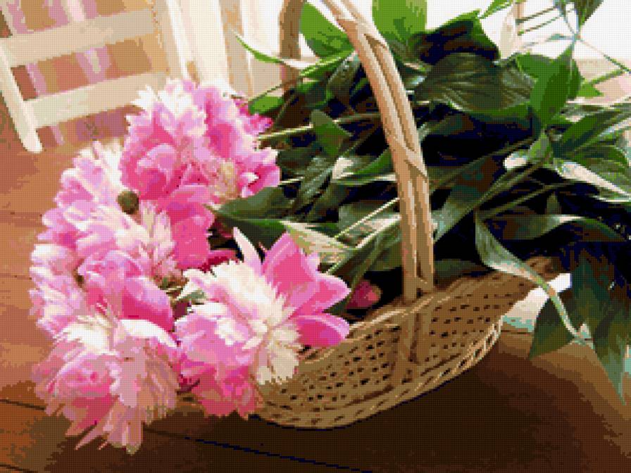 Пионы - пионы, весенние цветы, панно, нежные лепестки, цветы, пион - предпросмотр