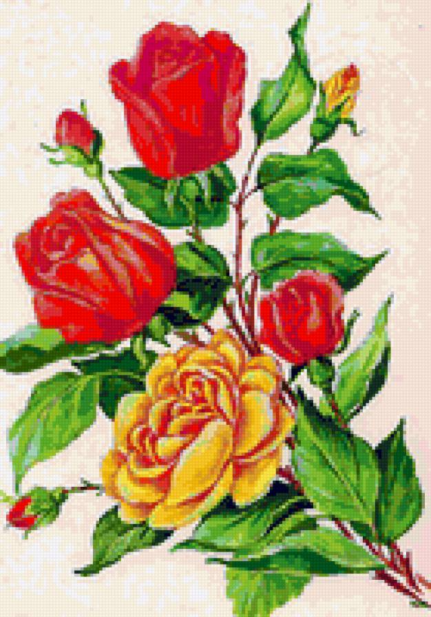 Розы - цветок, розочки, душистые розы, розы, роза, цветы, флора - предпросмотр