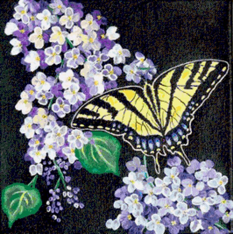 Бабочка и сирень - сирень, душистая сирень, цветы, бабочка, природа, пейзаж - предпросмотр
