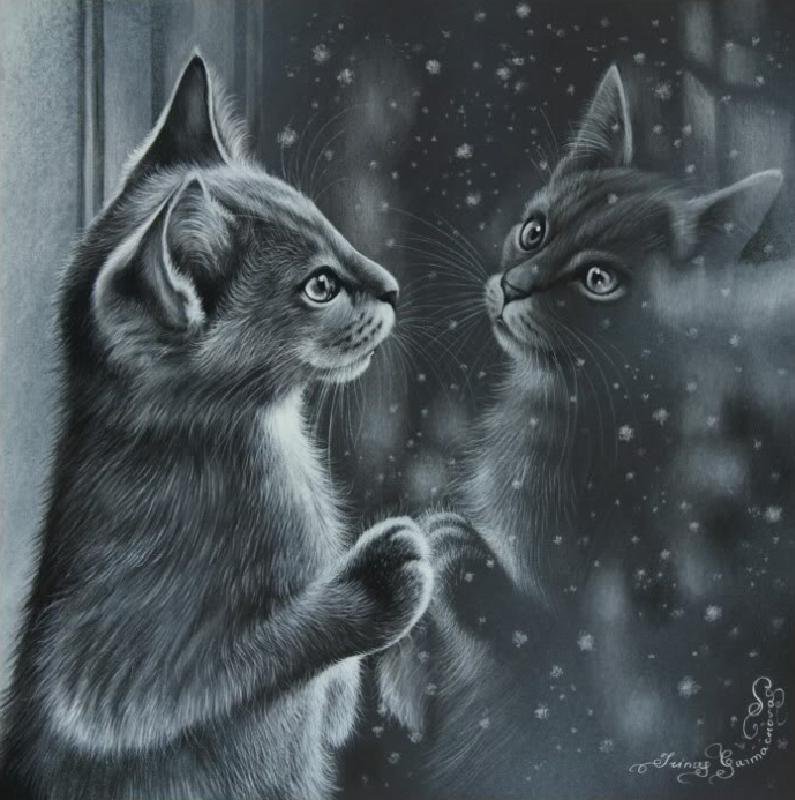 котик - черно-белое, кошка, коты, кошки, животные, картина - оригинал