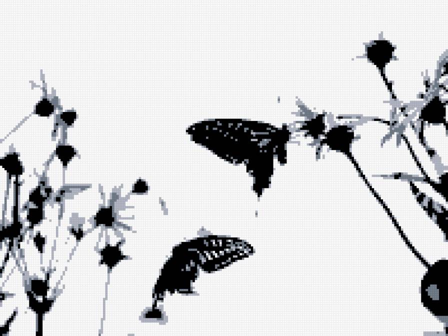 Бабочки черно-белые - черное-белые, бабочки, цветы - предпросмотр