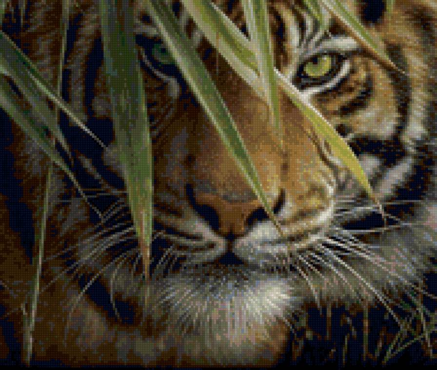 тигр в траве - предпросмотр