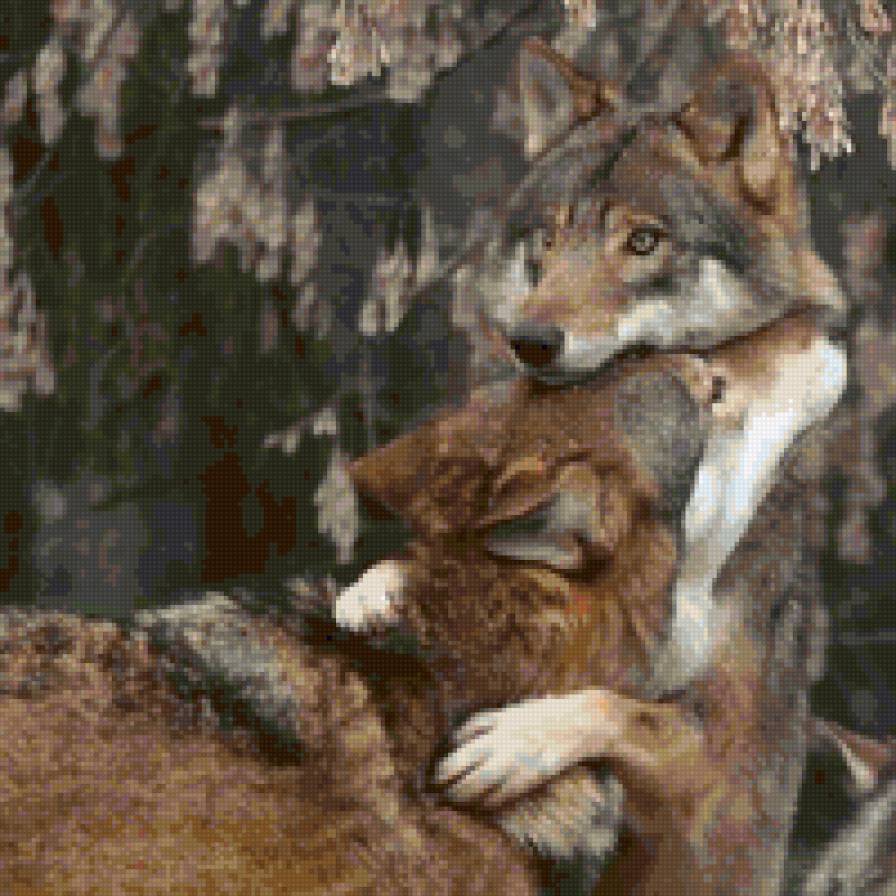 Пара волков - романтика, пара, любовь, волки, семья - предпросмотр
