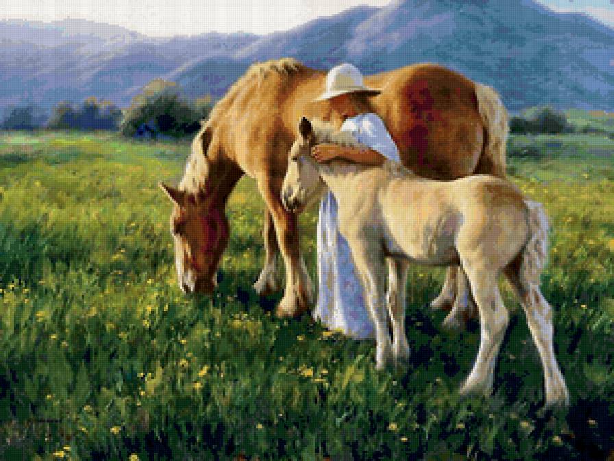 Серия "Кони" - кони, люди, горы, лошади, животные, пейзаж - предпросмотр