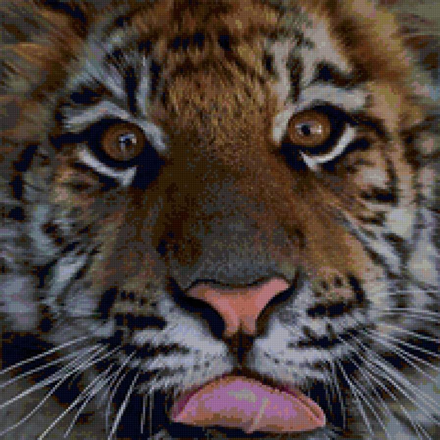 Тигр - тигр, животные, кошки - предпросмотр