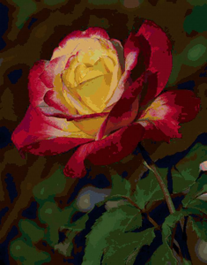 Роза 2 - цветы, природа - предпросмотр