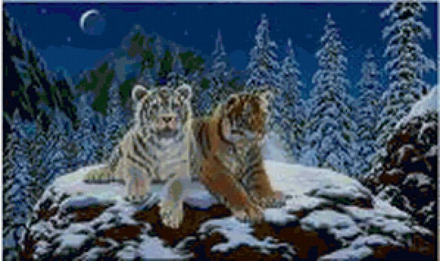 Тигры - животные, тигр, кошки - предпросмотр