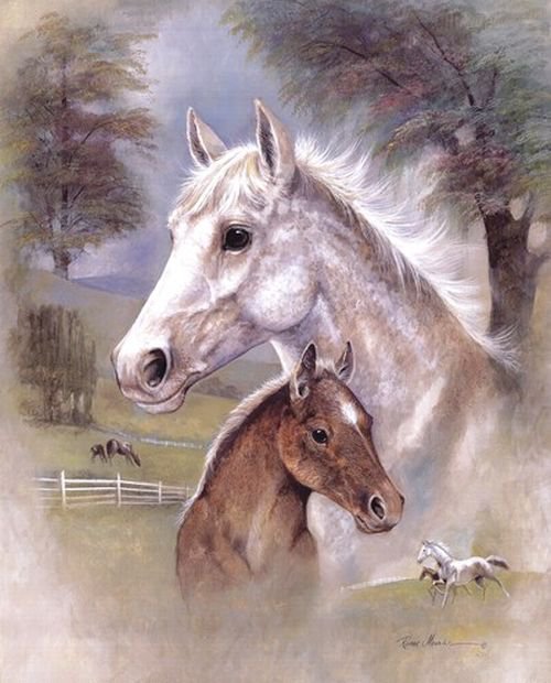 лошадки - кони, лошади, животные - оригинал