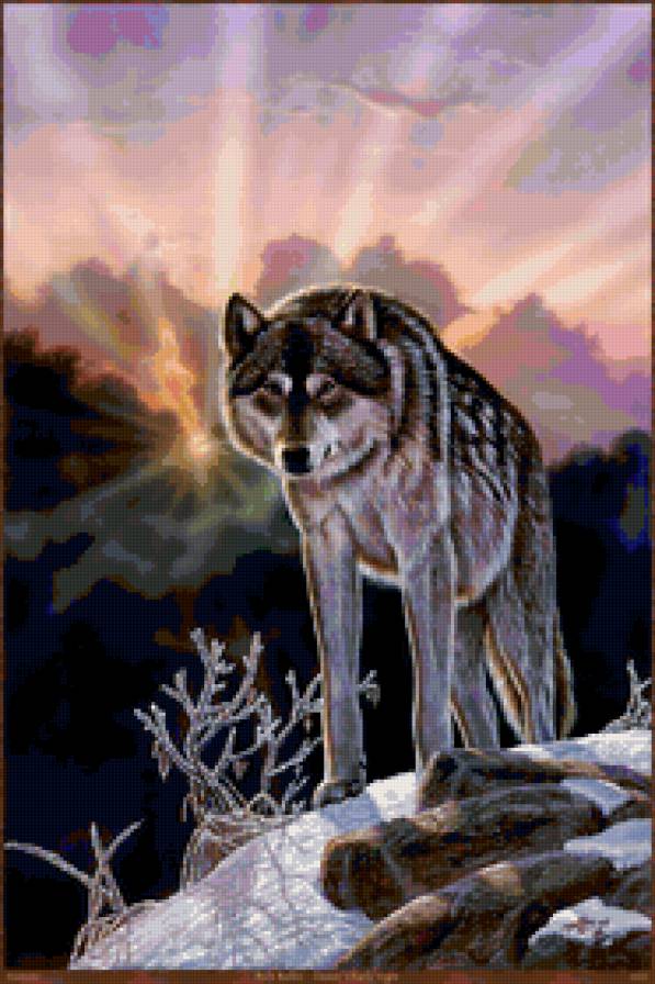 Волк - волки, зима, животные, живопись - предпросмотр