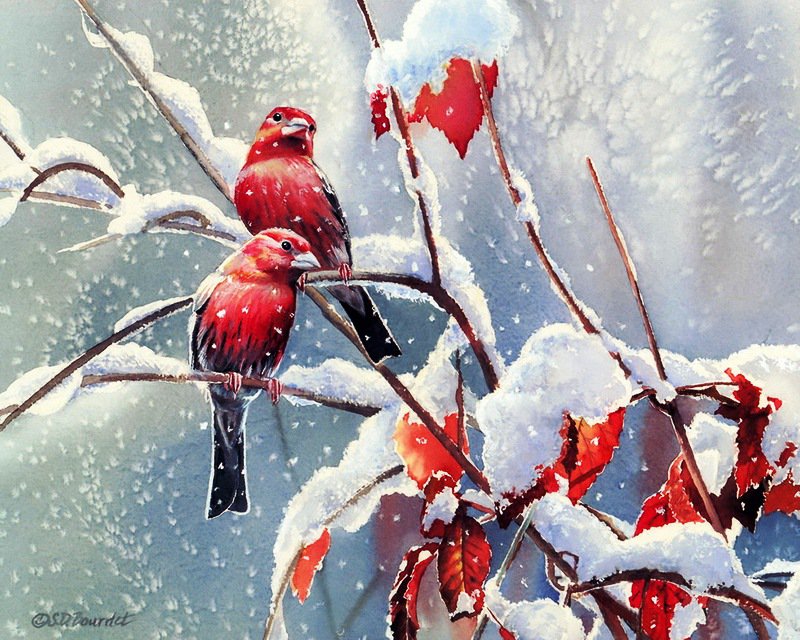 Зимние пташки - ягодки, зима, птица, птички и ягодки, птицы, природа, снег - оригинал