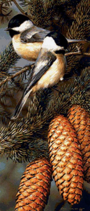 синички на еловой ветке - птицы, шишки, панель - предпросмотр