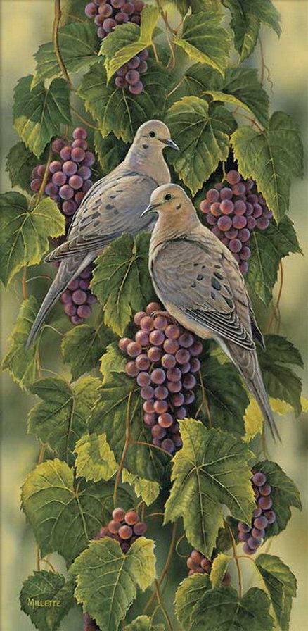 голуби на винограде - панель, птицы - оригинал