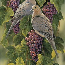 Оригинал схемы вышивки «голуби на винограде» (№79379)