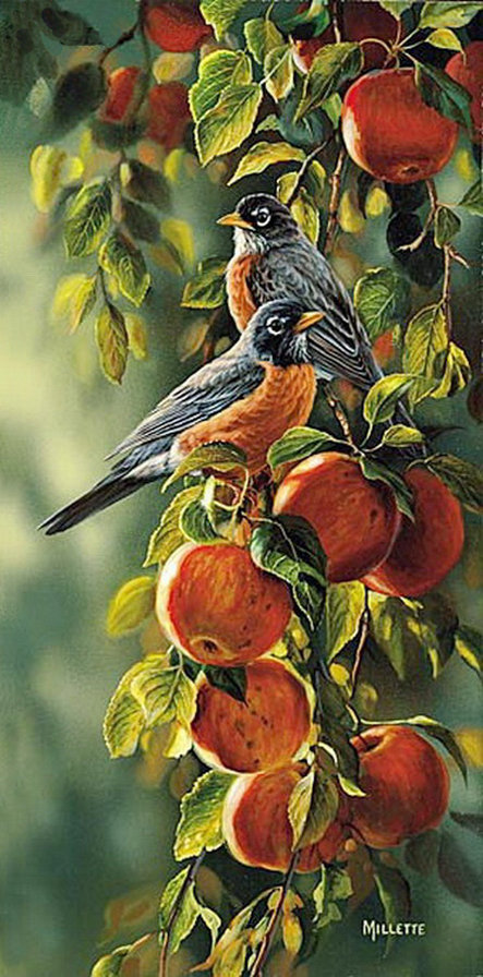 яблоневая ветвь - яблоки, панель, птицы - оригинал