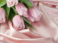 Оригинал схемы вышивки «нежные тюльпаны» (№79497)
