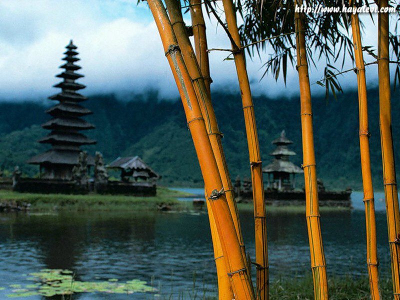 Восток - восток, пагода, бамбук - оригинал